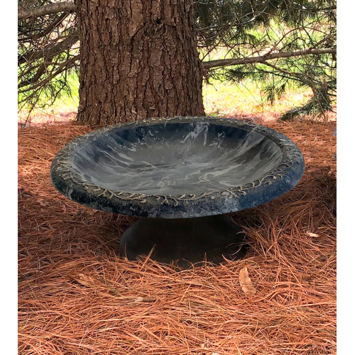 Wayfair Plastic & Acrylic Bird Baths You'll Love in 2023